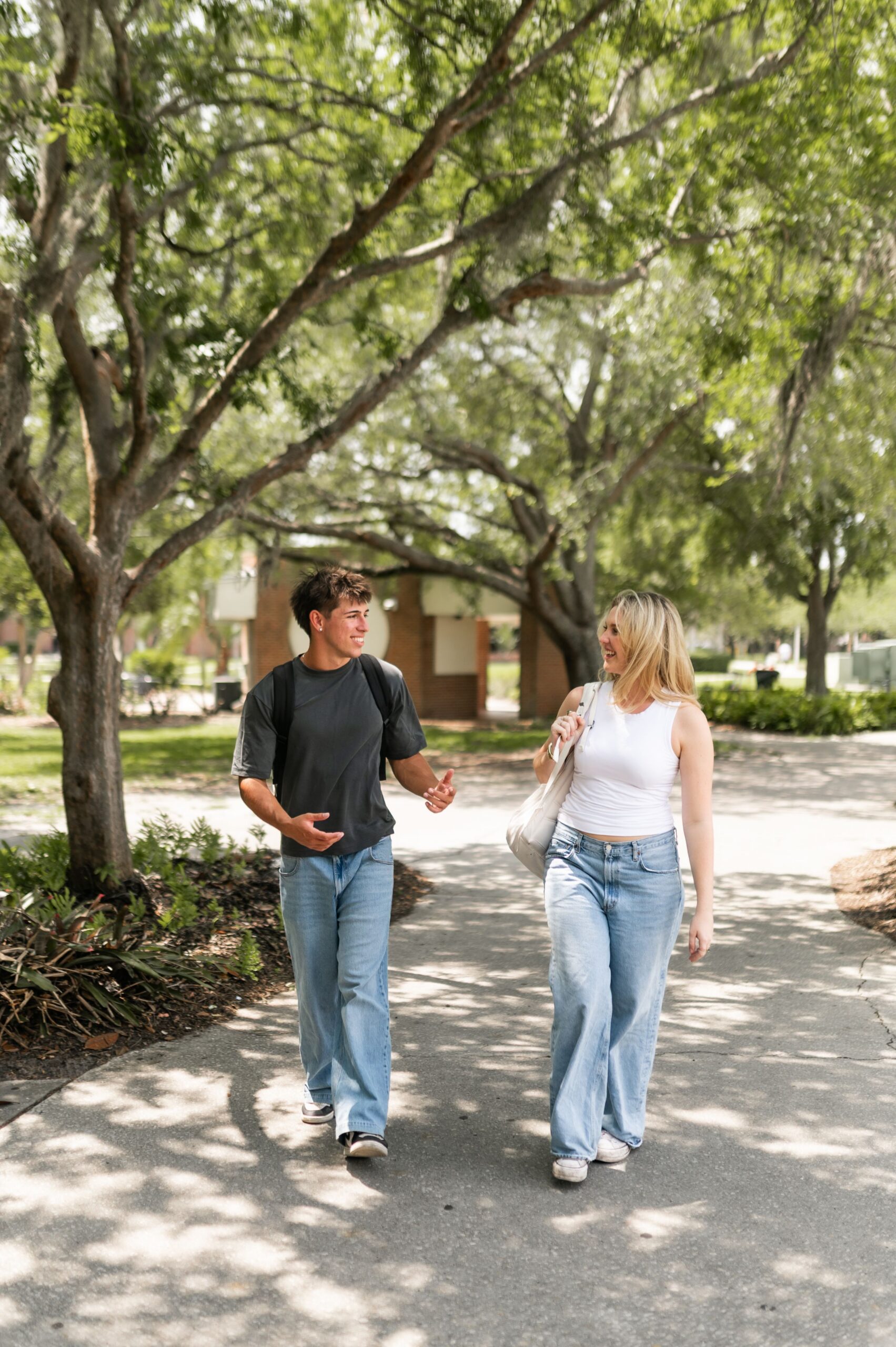 classmates conversing along shaded campus path scaled